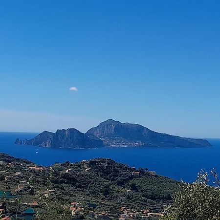 Al Calar Del Sole Villa Маса Лубрензе Екстериор снимка